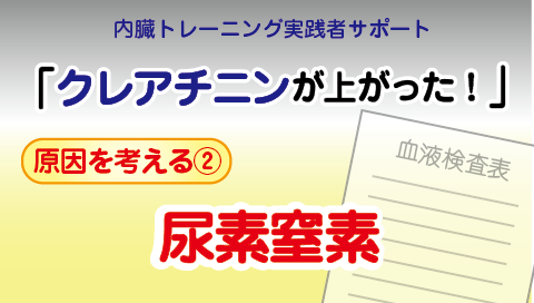 ◆クレアチニンが上がった時に見る動画②　尿素窒素